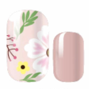 WILD BLOOM