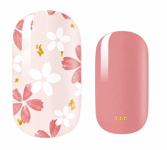 SAKURA DREAM