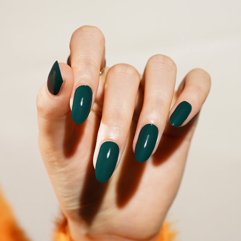 PINE OBSESSION