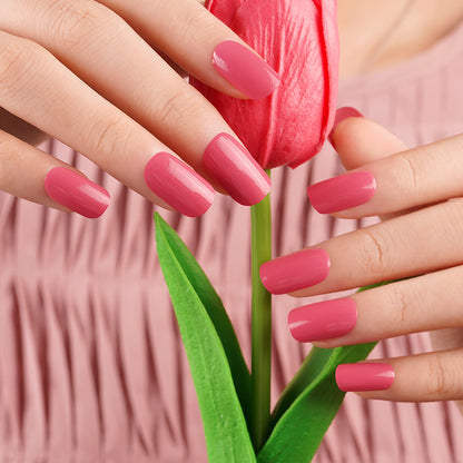 TULIP CRUSH